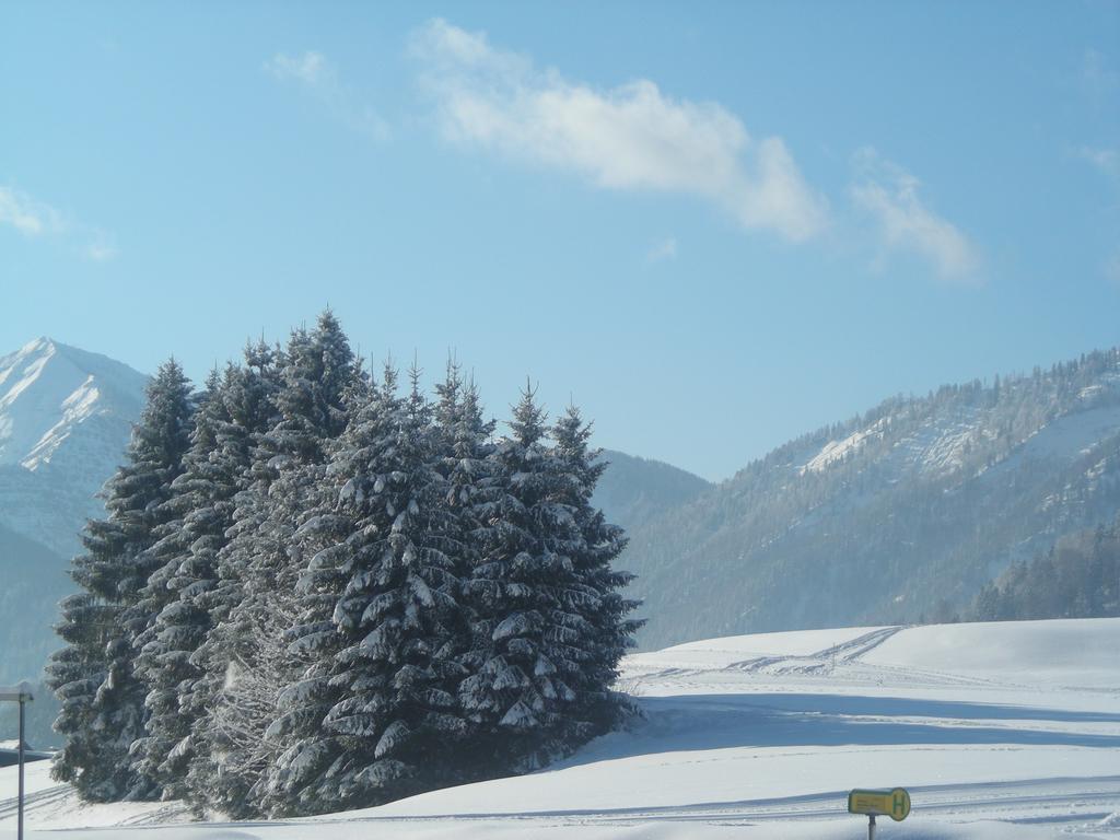 Gasthof Botenwirt Файстенау Екстериор снимка